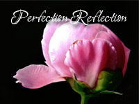 perfectionreflection