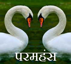 Where the space be'tween things speak ... Swans represent purity and transcendence in Vedantic teaching.  To be in divine ecstasy and simultaneously to be actively wakeful. And therefore, Paramahansa is found through Happily Inner After.