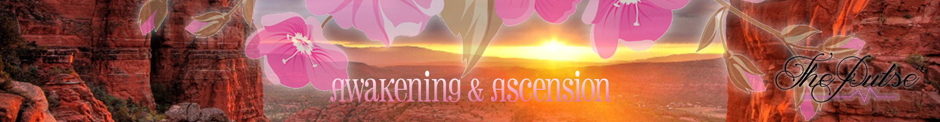 topbanner250SMALL awakening category flower