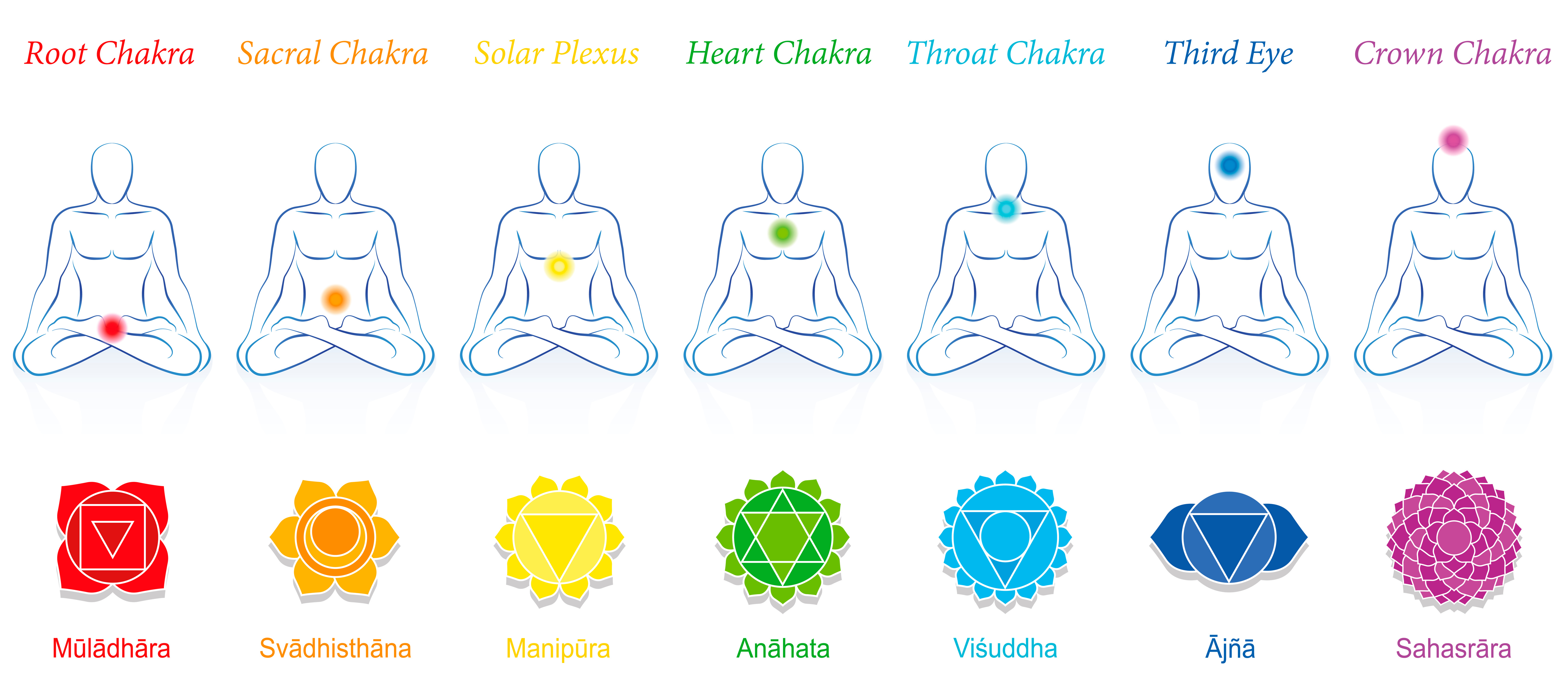 AdobeStock 239745478