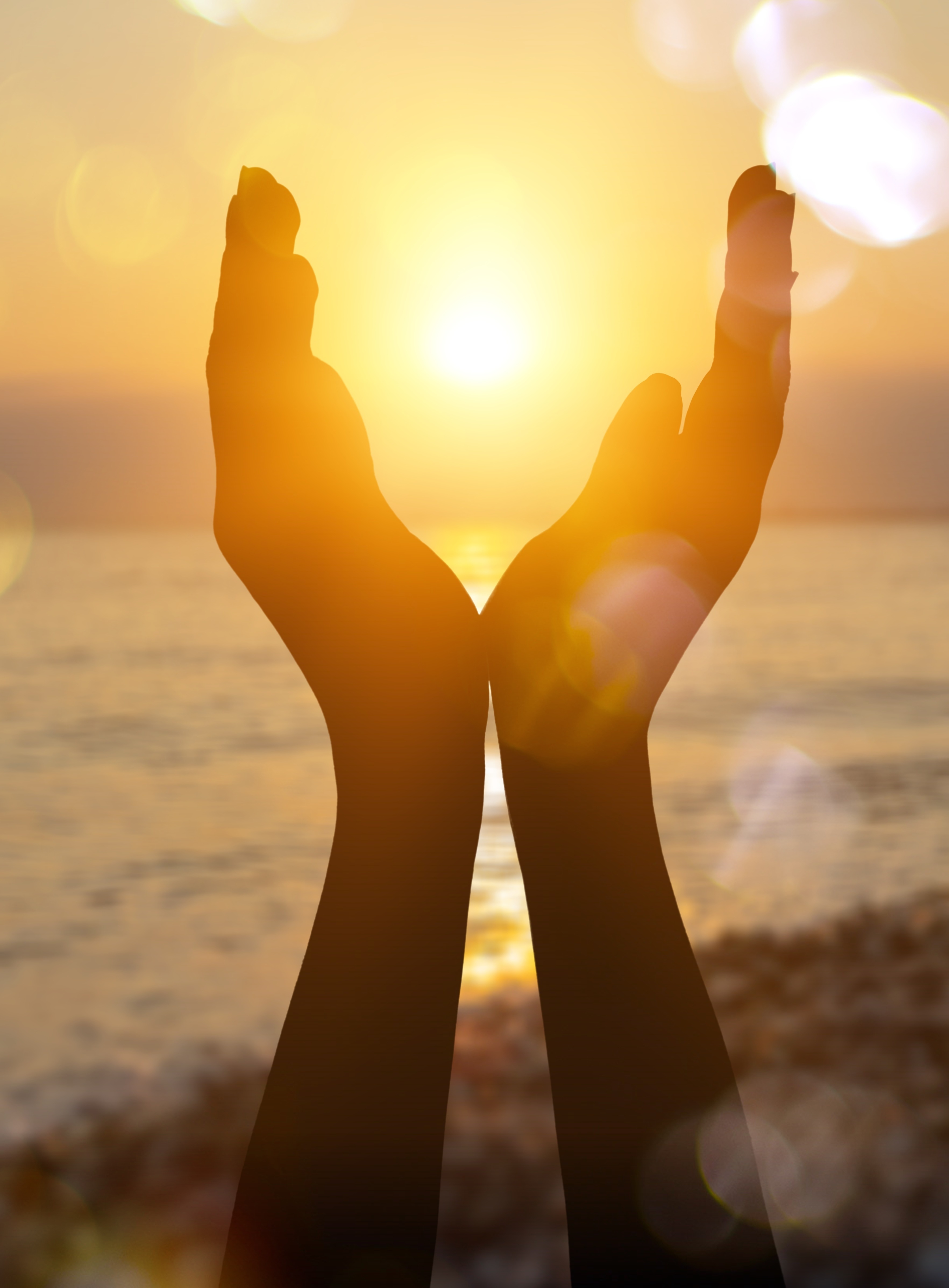 Love and Gratitude