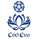 C60 EVO
