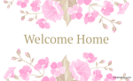 Website Soft Launch