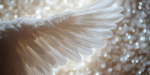 Spiritual and Life Coaching